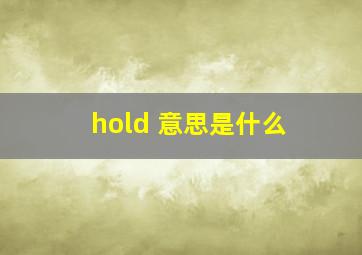 hold 意思是什么